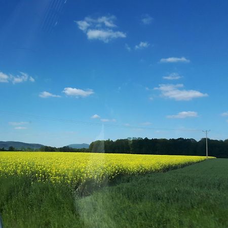 Agroturystyka "Jagap" Oaza Spokoju Dzierżoniów Eksteriør bilde