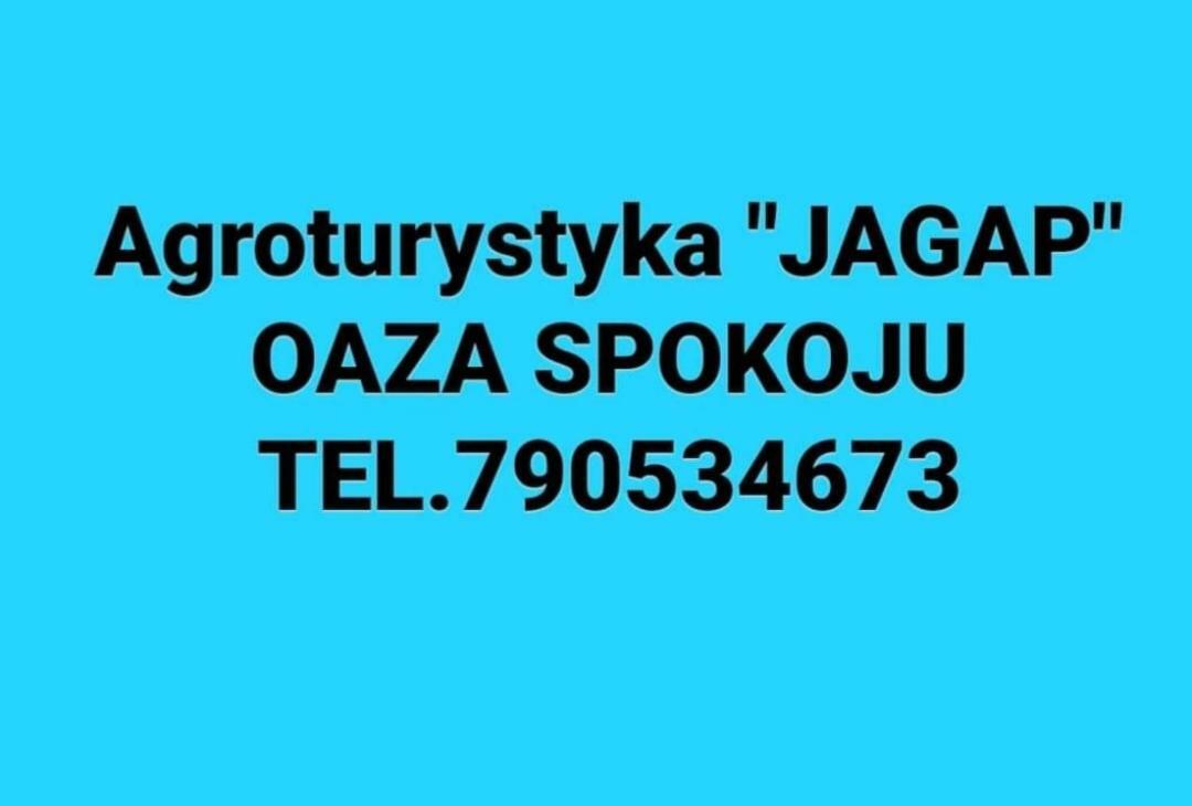 Agroturystyka "Jagap" Oaza Spokoju Dzierżoniów Eksteriør bilde